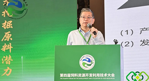 港澳宝典6262